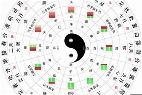 五行旺度|八字五行旺衰怎么看 八字五行旺衰计算法则